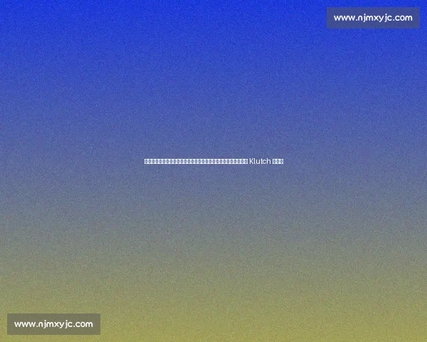 杨瀚森白衣闪耀富保罗庆功宴！湖人锋线新星助阵，四首轮秀彰显 Klutch 统治力